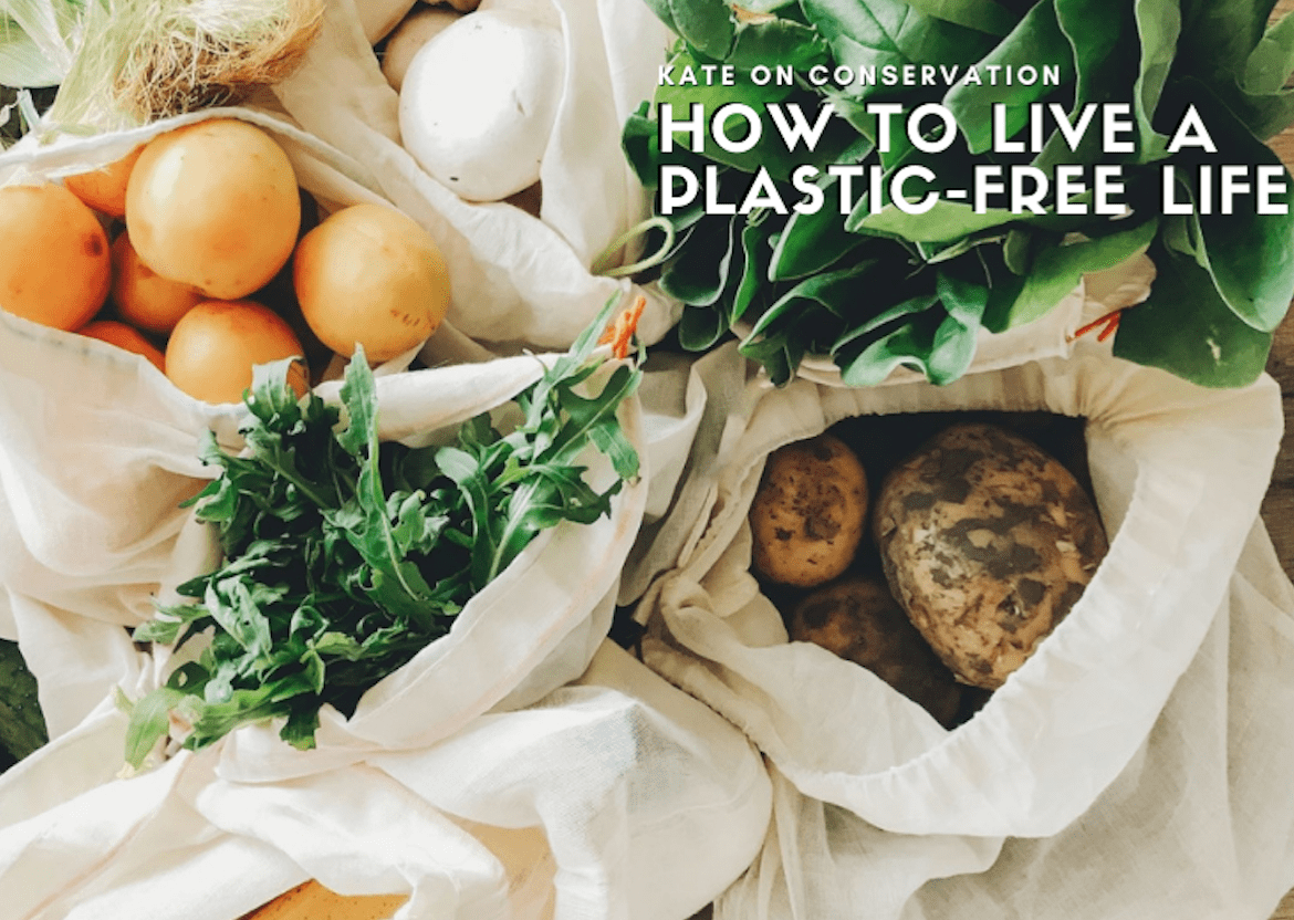 Zero-waste revolution: Among the finest methods to Preserve a Plastic-Free Life