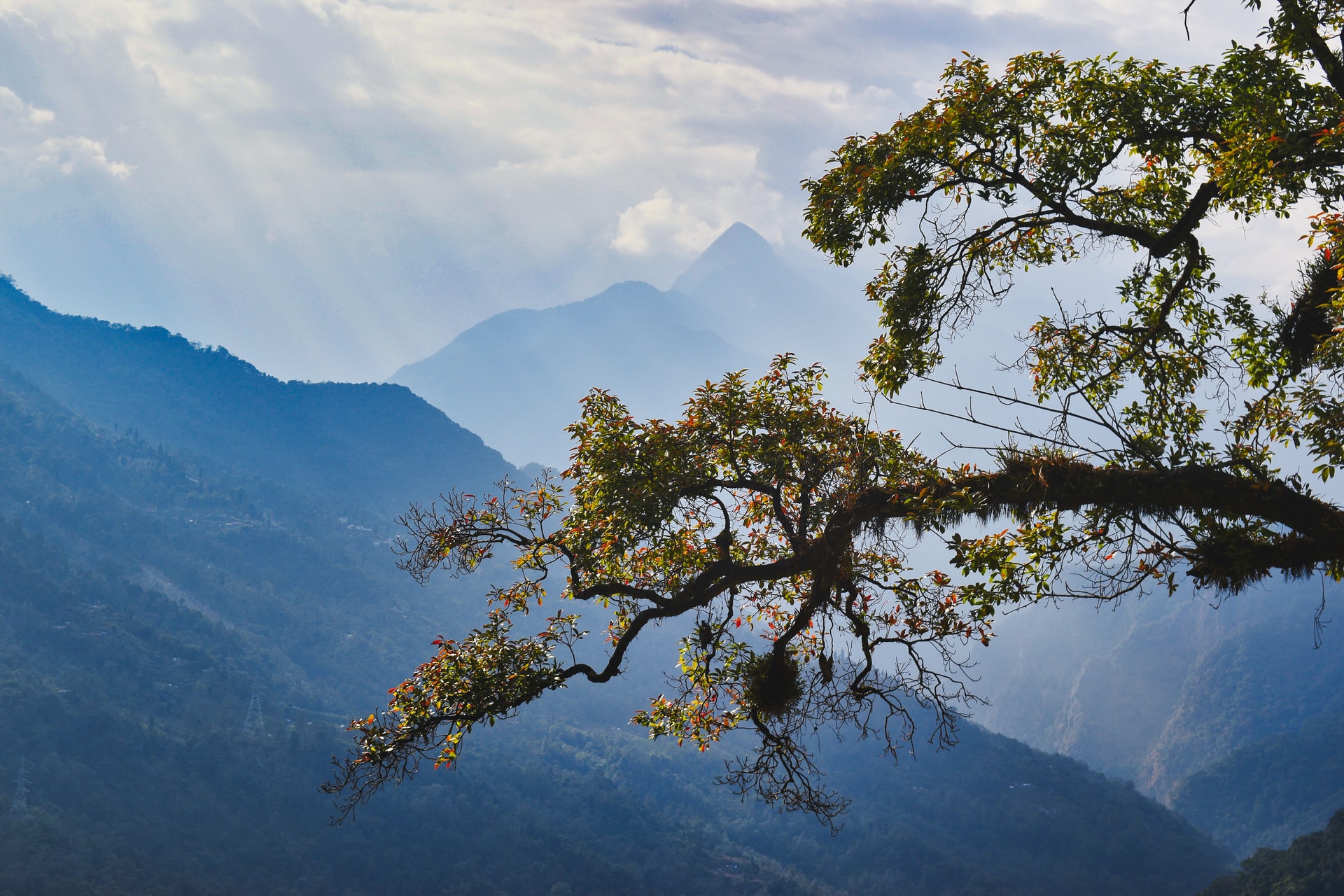 Sikkim in India is little question one in all many world’s most fascinating areas for birding. As a consequence of this.